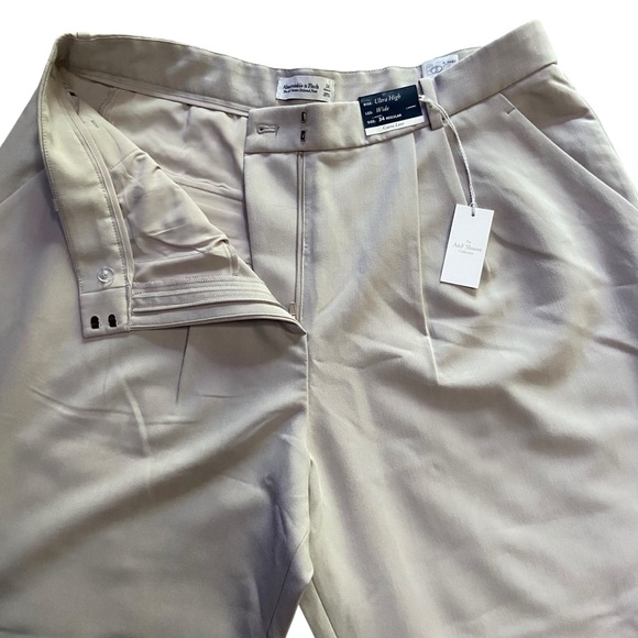 NWT Abercrombie A&F Sloane Tailored Wide Leg Pant Light Taupe 34 Curve Love - Picture 6 of 16